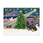 Xms Magic-2 ROTTWEILERS postcards