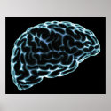 XRAY BRAIN SIDE VIEW BLUE posters