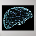 XRAY BRAIN SIDE VIEW BLUE