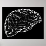 XRAY BRAIN SIDE VIEW GREY B&W posters