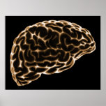 XRAY BRAIN SIDE VIEW ORANGE posters