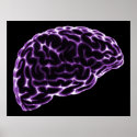 XRAY BRAIN SIDE VIEW PURPLE posters