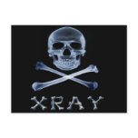 XRAY PIRATE Flag RADIOLOGY JOLLY ROGER postcards