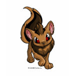 Xweetok Brown t-shirts