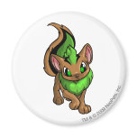 Xweetok Green magnets