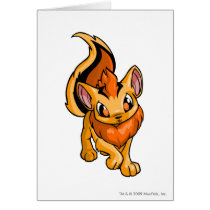 Xweetok Orange cards