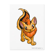 Xweetok Orange postcards