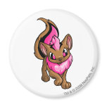 Xweetok Pink magnets