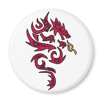 XX- Awesome Dragon Art Refrigerator Magnets