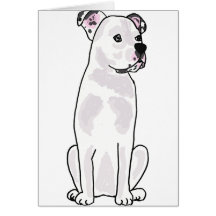 XX- Cute American Bulldog with Studded Collar Card