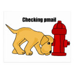 XX- Cute Puppy Dog Checking pmail Fire Hydrant Postcard