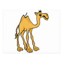 XX- Funny Camel Cartoon Post Cards