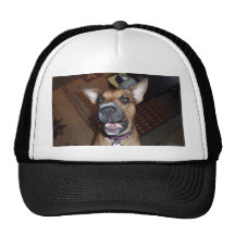 XX- Funny Demonic Bat Eared Puppy Dog Hats