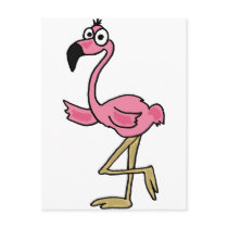 XX- Funny Flamingo Postcard
