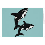 XX- Leaping Killer Whales Cards