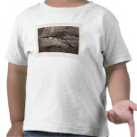 XX Ruins, Canon de Chelle, New Mexico t-shirts