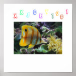 xxjoey1001 poster with fish on it posters