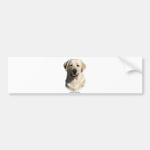 Y ellow Labrador Retriever Bumper Sticker