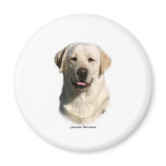 Y ellow Labrador Retriever magnets