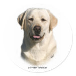 Y ellow Labrador Retriever stickers