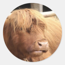 Yak Stickers