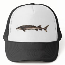 Yangtze Sturgeon Hat