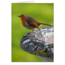 Yard Boss Greeting Card