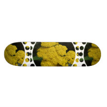 yarrow-2 skateboard decks