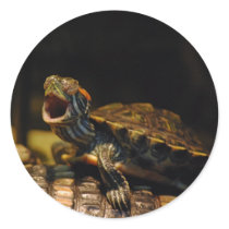 Yawning Baby Turtle Stickers