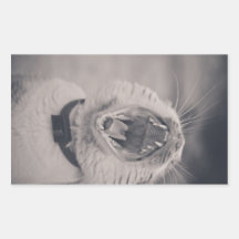 Yawning cat stickers