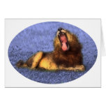 Yawning Lion cards
