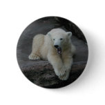 Yawning Polar bear cub buttons