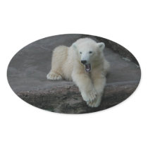 Yawning Polar bear cub Sticker