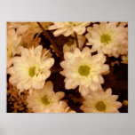 Ye olde time flowers poster