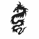 Year of The Dragon 2012 embroidered shirts