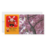 Year of the Rabbit photo cards