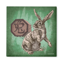Year of the Rabbit Square Magnet, green