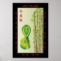 Year of the Snake posters