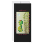 Year of the Snake Rack Card Design