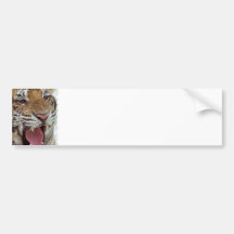 Year of the Tiger Bumper Sticker