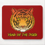 Year of the Tiger Portrait