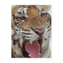 Year of the Tiger Postcard