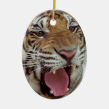 Year of Tiger Ornament
