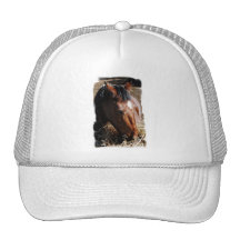 Yearling  Baseball Hat