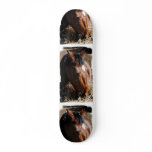 Yearling Skateboard