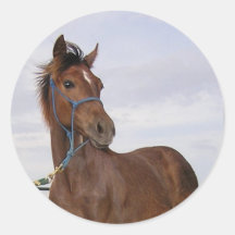 Yearling Stickers
