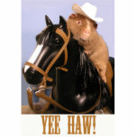 Yee Haw Photo Sculpture photo sculptures