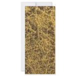 yello067