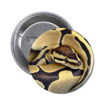 Yellow and Black Ball Python 3 Buttons