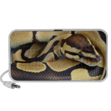 Yellow and Black Ball Python 3 PC Speakers